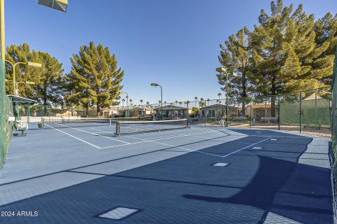 ListerPros-06 Sunbird