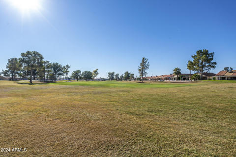 ListerPros-12 Sunbird