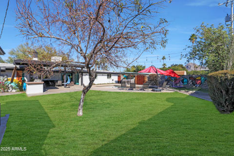 Backyard 3