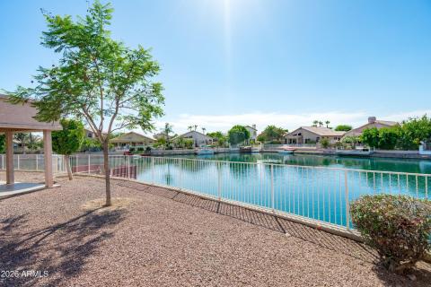 Backyard View