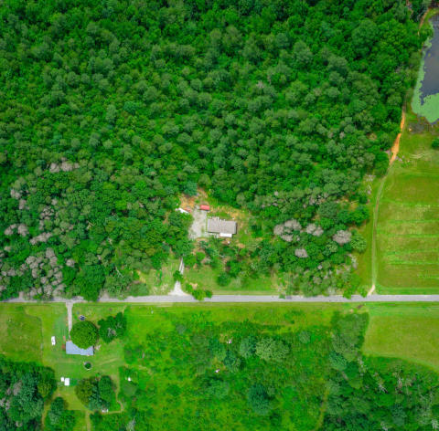 287 County Road 431 HD-55