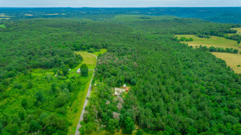 287 County Road 431 HD-59