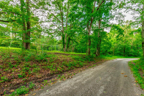 1054 Myers Hill Road HD-6-lot#2