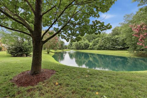 Enjoy the view of the tranquil pond