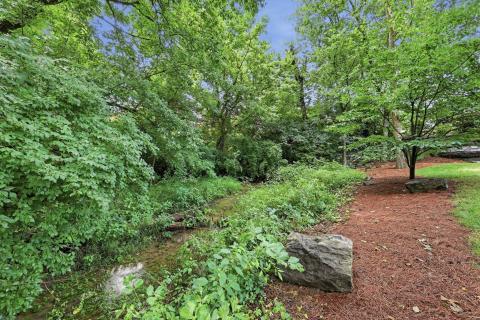 Hidden Creek, a spring fed creek