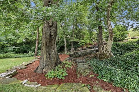 Enjoy the large oak trees