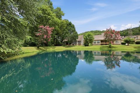 Pond