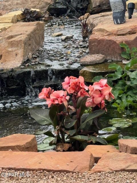 6320 Franklin Desert Flowers JG 6320 Franklin Desert Flowers JG