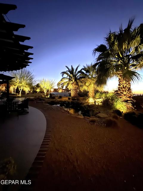 6320 Franklin desert night lights back 2 6320 Franklin desert night lights back 2