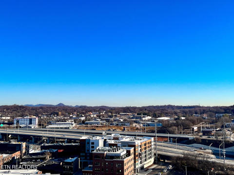 Roof View Roof View