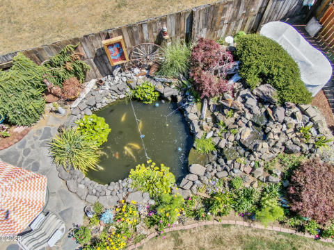 Backyard pond