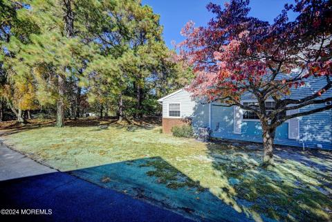 23-Side to Backyard View