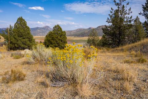 17 Ochoco Prineville for Lisa_resize