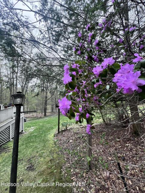 IMG_2683(1) IMG_2683(1)