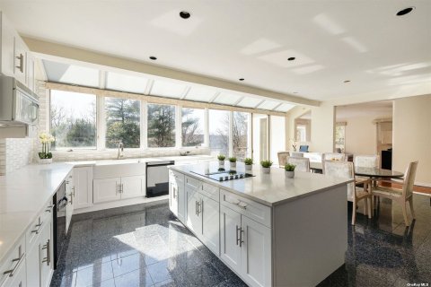 Quartz Counters; Wall-to-Wall Wimdows