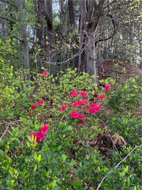 Beautiful flowers and trees on the property at Alspaugh At Camelot 