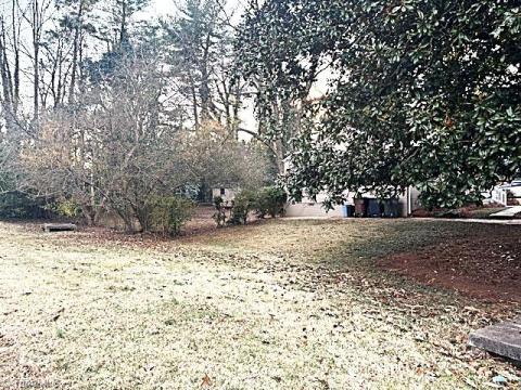 THIS IS THE HUGE SIDE YARD.  YOU JUST DON'T FIND THIS KIND OF SPACE IN CITY.