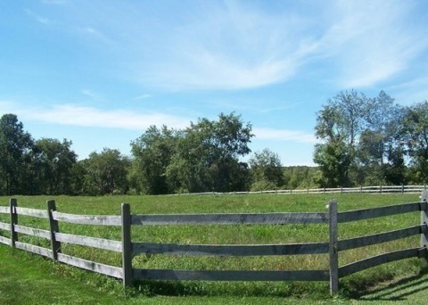 Listing picture 15