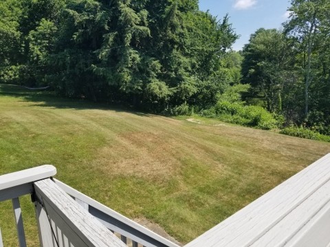 Listing picture 11
