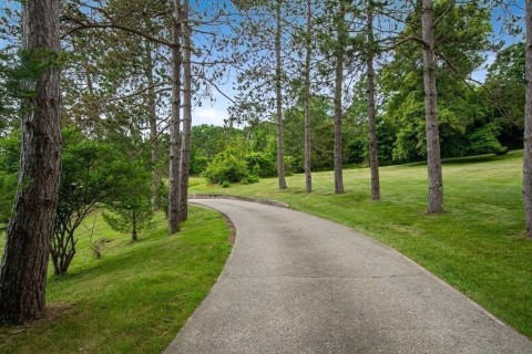 Listing picture 17