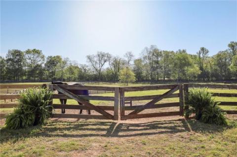 Listing picture 19