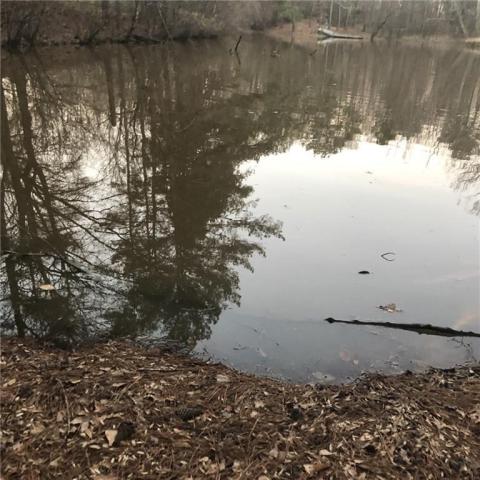 Listing picture 43