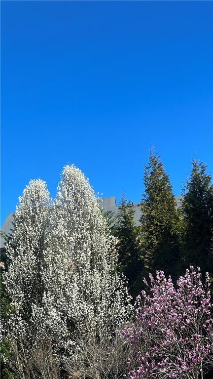 Listing picture 29