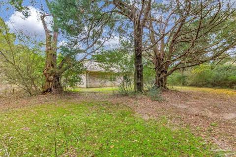Listing picture 12