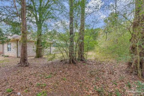 Listing picture 48