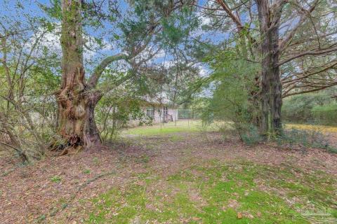 Listing picture 11