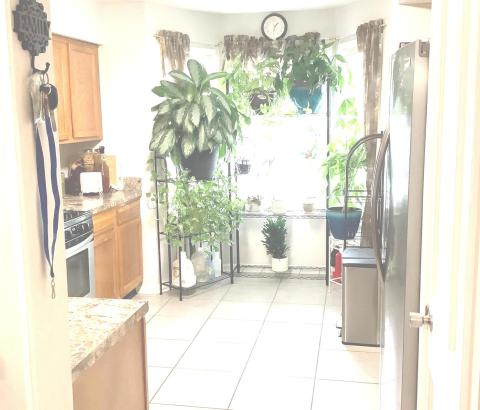 Listing picture 8
