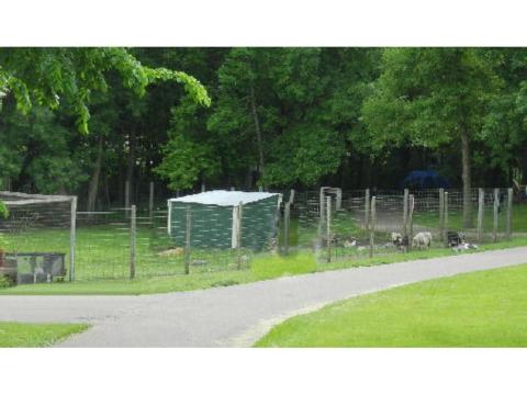 Fun at the animal park