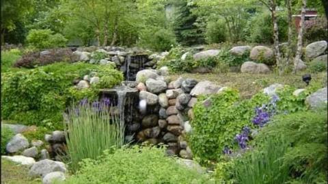 Pretty landscaping in the park