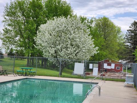 Springtime at Cokato Lake