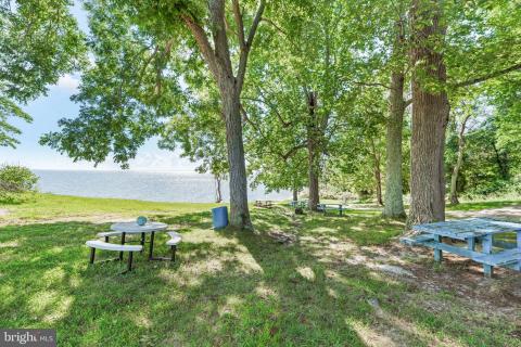 Listing picture 34