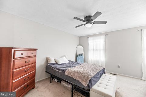 Listing picture 23