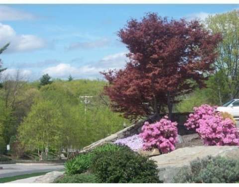Listing picture 34