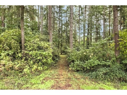 Listing picture 42