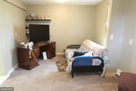 Lower level family room