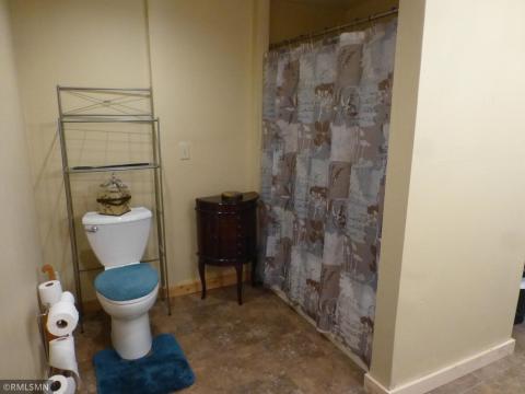Lower level en suite bath