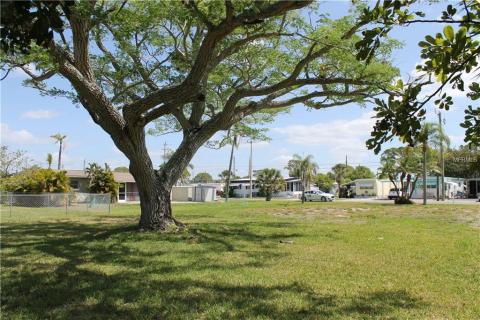  Nice shady back yard provided by Jacaranda tree.