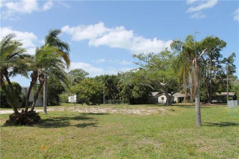 Reticulated palm tree -left front.  Queen palms left and right.  Jacaranda tree in back yard.