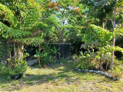 Tropical backyard