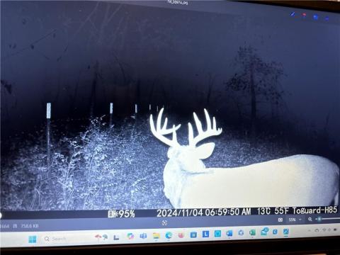 Listing picture 64