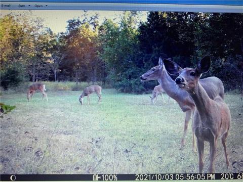 Listing picture 60