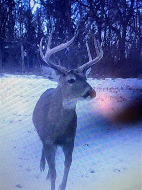 Listing picture 61