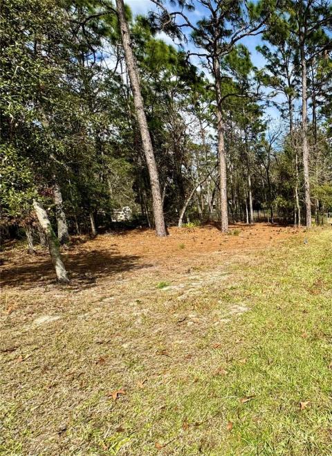 Listing picture 81