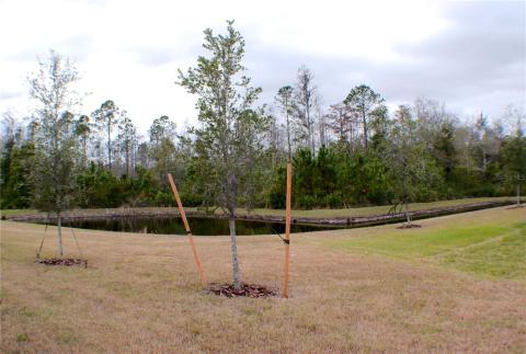 Listing picture 5