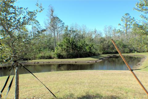 Listing picture 2