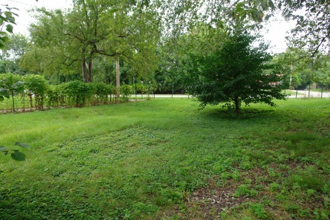 Listing picture 40